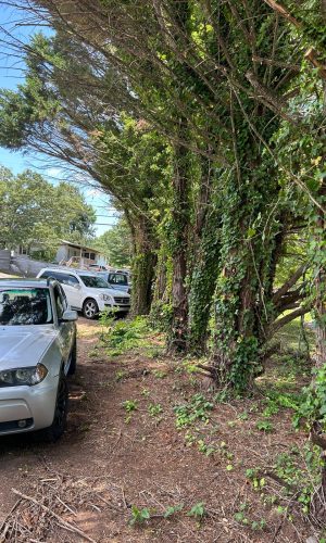 cars parked at the roadside